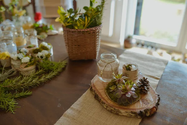 Hög Vinkel Skott Rustika Ljus Dekoration Med Saftiga Växter — Stockfoto