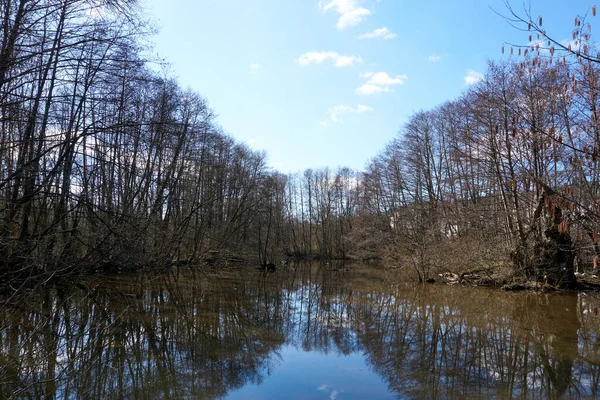 Gyönyörű Kilátás Nyílik Tükröződő Vagy Folyó Körül Száraz Fák Alatt — Stock Fotó