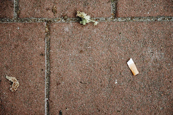 Closeup Cigarette Filter Ground — Stock Photo, Image