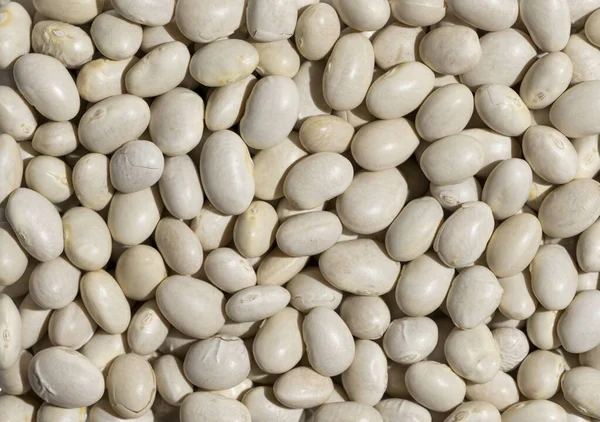 白い豆の背景のクローズ — ストック写真