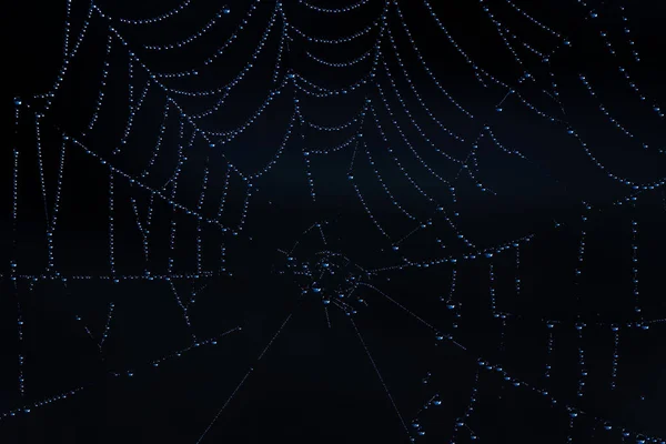 Une Vue Près Abstraite Toile Araignée — Photo