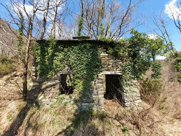 Old Ruined Abandoned House Forest — Stock Photo, Image