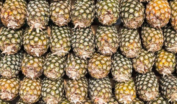 Viele Reihen Reife Ananas — Stockfoto