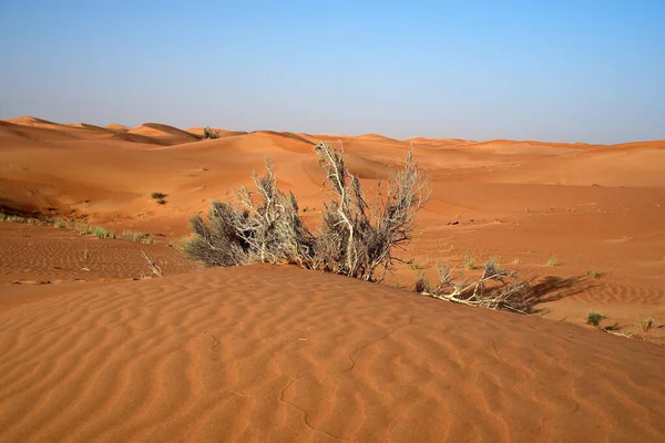 阿拉伯联合酋长国晴朗天空下粉色岩石沙漠的美丽照片 — 图库照片