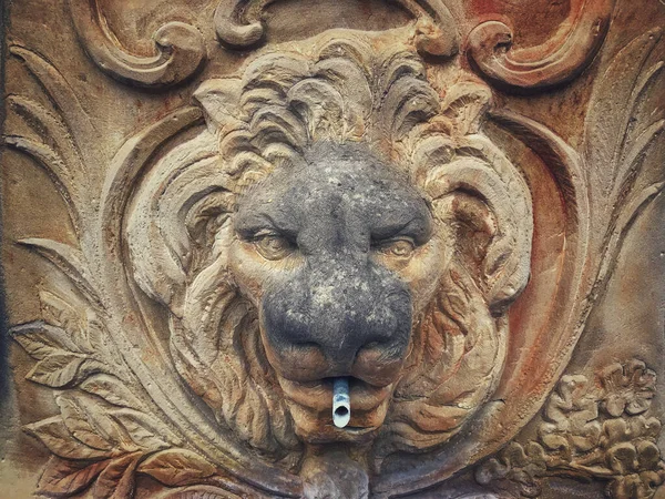 Podrobnosti Sochařství Lví Hlavy — Stock fotografie