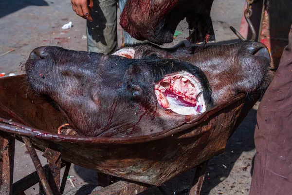 Primer Plano Las Cabezas Ganado Sacrificado Que Venden Mercado — Foto de Stock