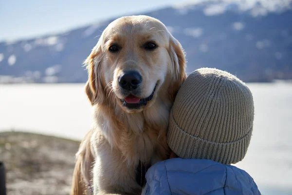 Bir Dağın Arka Planında Sevimli Genç Bir Golden Retriever Sarılan — Stok fotoğraf