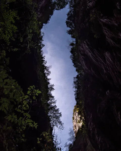 Priveliște Frumoasă Unghi Scăzut Peșterii Copacilor Din Cheile Kakuetta — Fotografie, imagine de stoc