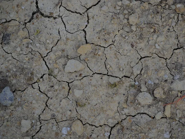 乾燥した割れた地面のテクスチャの閉鎖 — ストック写真