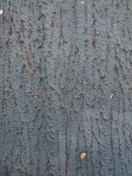 Вертикальний Знімок Сухого Сірого Фону Кори Дерева — стокове фото