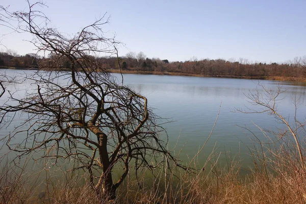 Piękny Widok Jezioro Otoczone Drzewami Pod Błękitnym Niebem Parku — Zdjęcie stockowe