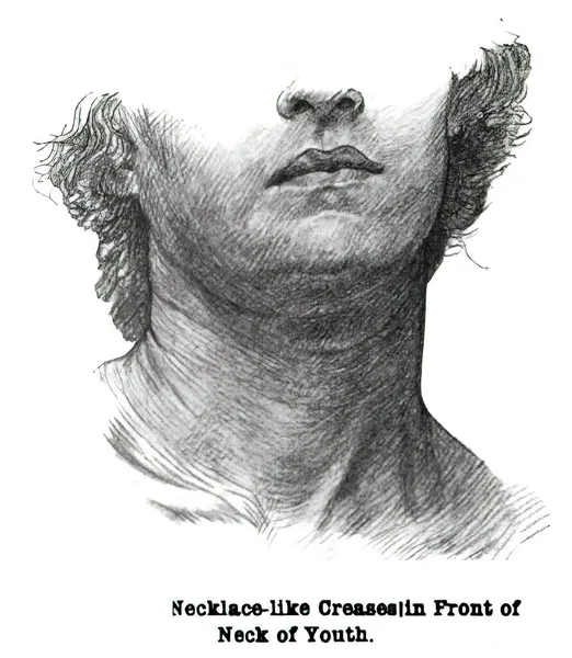 Necklace Creases Young Person Illustration 19Th Century Anatomy Textbook — Stock Photo, Image