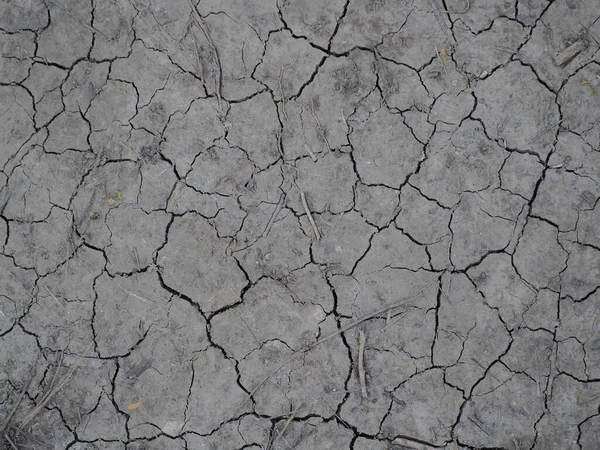 乾燥した割れた地面のテクスチャの閉鎖 — ストック写真