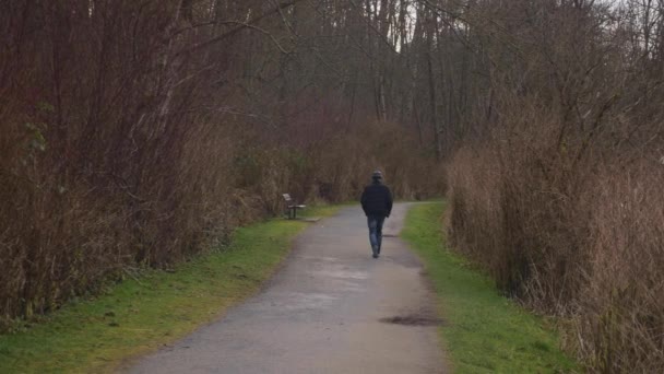 Uomo Cammina Lungo Sentiero Nella Foresta — Video Stock