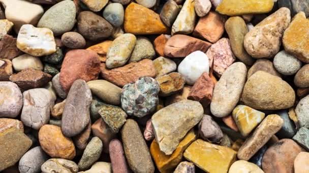 Hintergrund Aus Steinen Kieseln Felsen Stein Kies Sand Kiesel Meer — Stockvideo