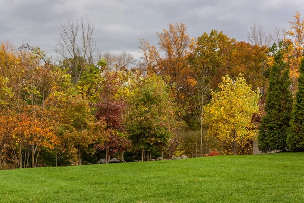 Una Hermosa Vista Los Árboles Otoño Jardín Bajo Cielo Nublado —  Fotos de Stock