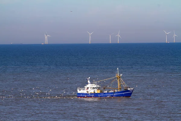 Blue Cutter Flock Seagulls North Sea Sun Wind Generators Background — Stock Photo, Image