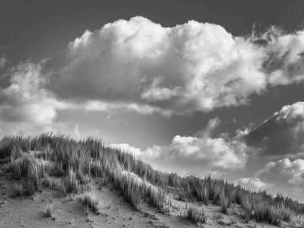 Šedivý Záběr Písečných Dun Trávou Pod Zataženou Oblohou — Stock fotografie