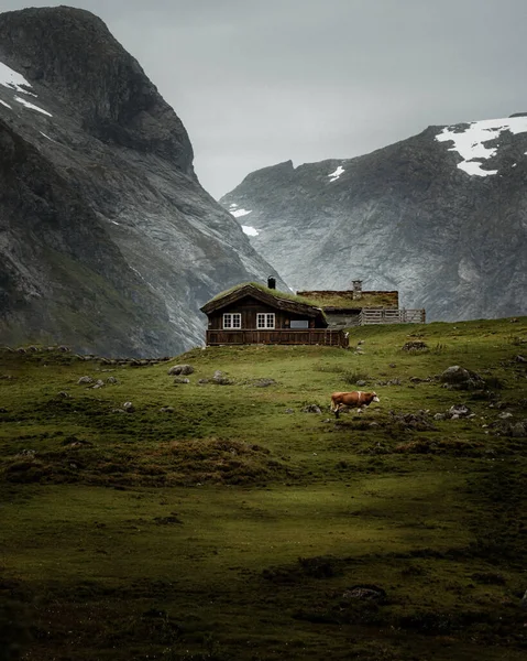 Een Verticaal Schot Van Houten Huis Met Koe Een Heuvelachtig — Stockfoto