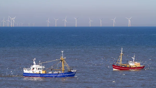 Blue Red Cutter Flock Seagulls North Sea Sun Wind Generators — Stock Photo, Image