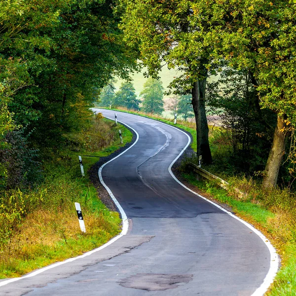 Een Verticaal Beeld Van Een Weg Omringd Door Prachtige Bomen — Stockfoto