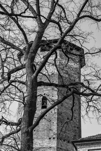 Vertical Shot Bare Trees Old Castle Background Grayscale — Stock Photo, Image