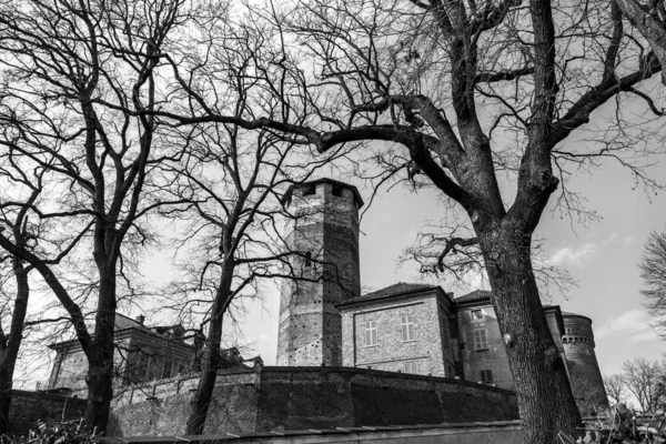 Grayscale Shot Bare Trees Old Castle Background — Stock Photo, Image