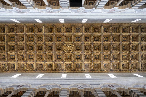 Tiro Baixo Ângulo Tectos Decorativos Catedral Pisa Itália — Fotografia de Stock