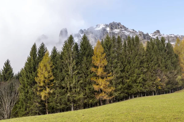 Arkasında Karlı Dağ Tarlaları Olan Güzel Bir Dağ Ormanının Manzaralı — Stok fotoğraf