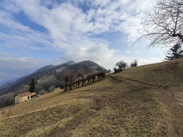 Starý Dům Svahu Obklopený Holými Podzimními Stromy Horami Pozadí — Stock fotografie