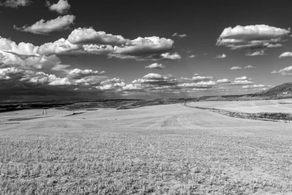 在多云的天空下 一片灰蒙蒙的田野被群山环绕 — 图库照片
