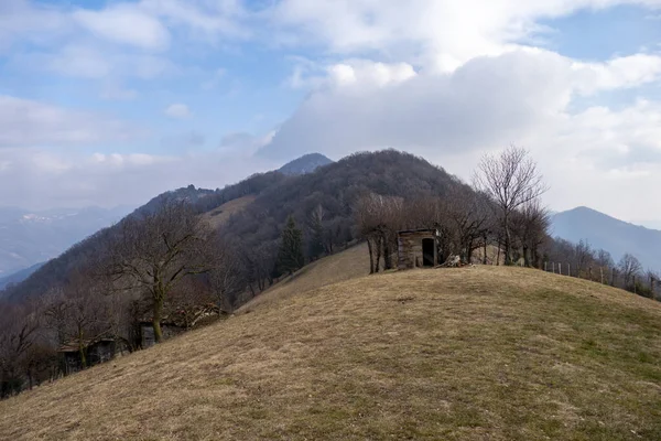 背後に山のある裸の木に囲まれた丘の上に古い木の小屋 — ストック写真