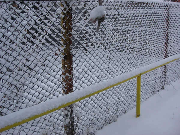 Environnement Enneigé Matin Concept Hivernal Endroit Gelé Enneigé — Photo