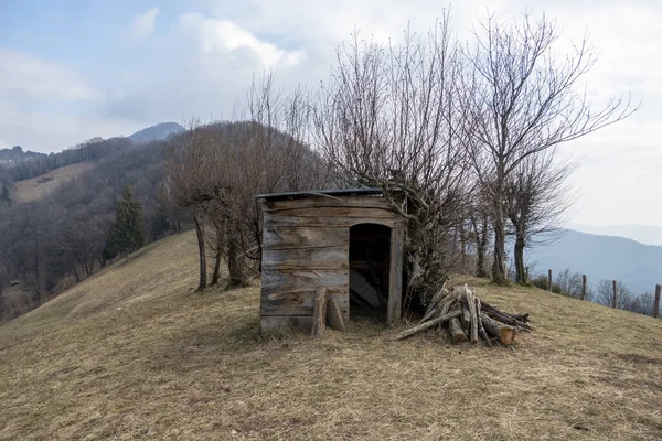 Primo Piano Vecchio Capanno Legno Cima Una Collina Circondata Alberi — Foto Stock