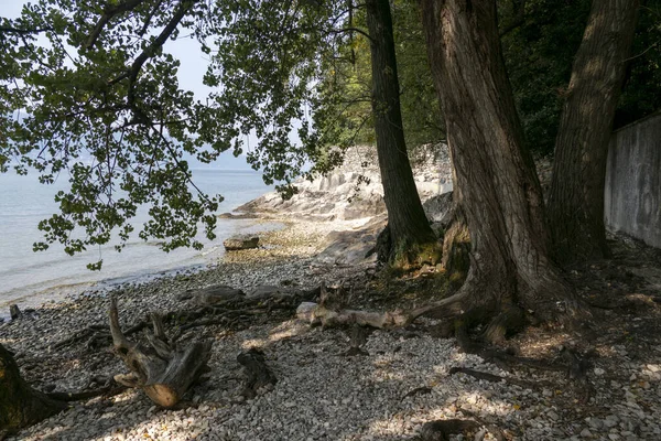 Lugar Tranquilo Bajo Los Árboles Costa Del Lago Maggiore Ispra — Foto de Stock
