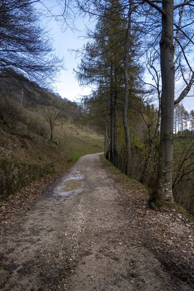 Een Schilderachtige Opname Van Een Onverharde Weg Een Bergveld Met — Stockfoto