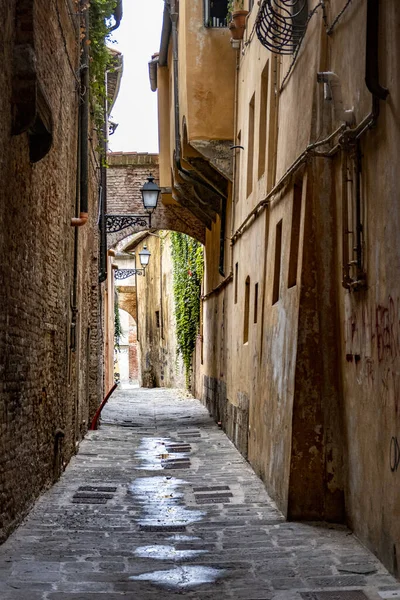 イタリアのトスカーナ州ピサの家の間の路地の垂直ショット — ストック写真