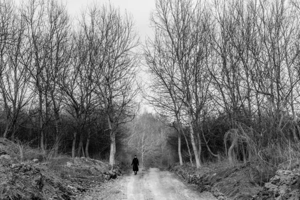 Asfaltsız Bir Yolda Çıplak Ağaçlarla Yürüyen Yalnız Bir Kadının Gri — Stok fotoğraf