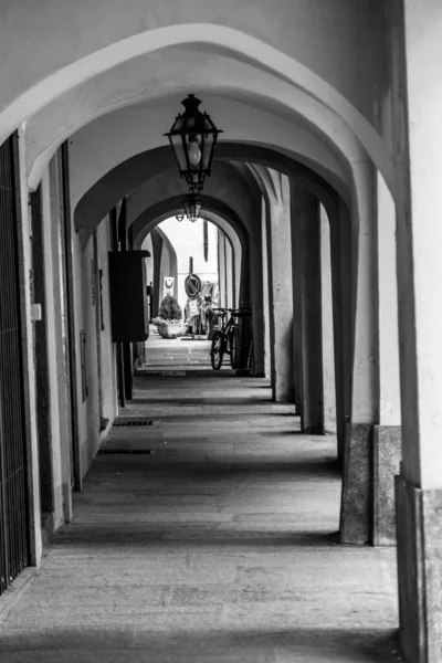 Una Toma Vertical Escala Grises Del Castillo Racconigi Piamonte Italia —  Fotos de Stock