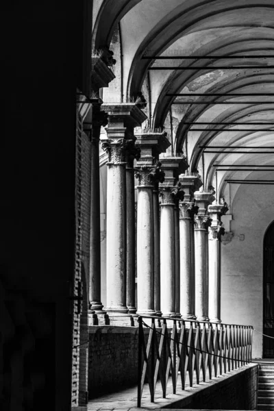 Вертикальная Серая Шкала Колонн Соборе — стоковое фото