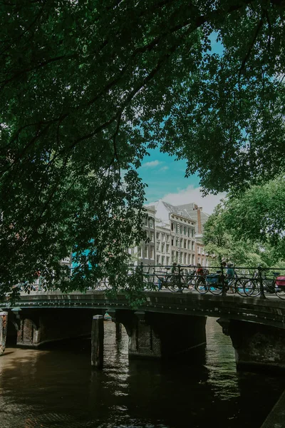 Amsterdam Netherlands Haziran 2019 Hollanda Amsterdam Yeşil Ağaçlarla Çevrili Köprü — Stok fotoğraf