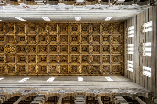 Tiro Baixo Ângulo Catedral Ceilinin Pisa Toscana Itália — Fotografia de Stock