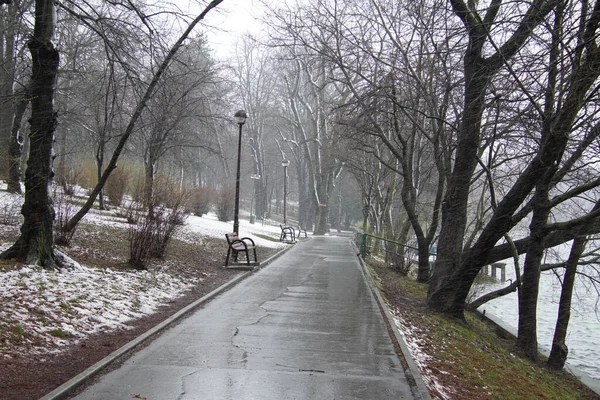 Parksteeg Winter Herastrau Park Boekarest Roemenië Sneeuwstorm Sneeuwstorm — Stockfoto