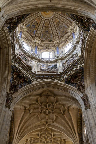 Colpo Verticale Soffitti Mosaico Nella Nuova Cattedrale Salamanca Spagna — Foto Stock
