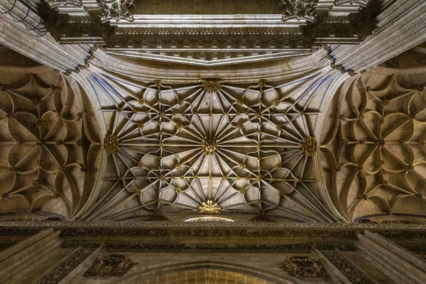 スペイン サラマンカ大聖堂の装飾天井の低角度ショット — ストック写真