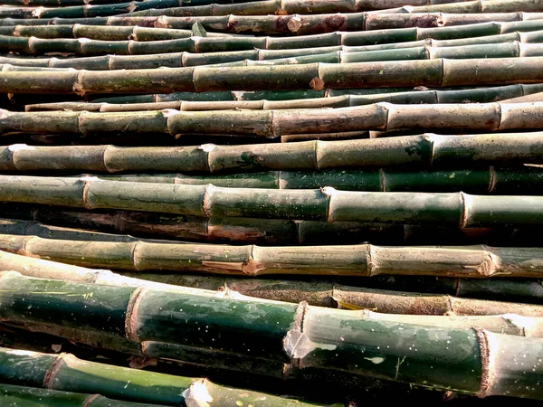 Betakarított Bambuszrudak Egymásra Rakva Eladásra Háttér Textúra — Stock Fotó