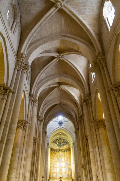 Spanya Nın Yeni Katedral Salamanca Kentindeki Sütunların Dikey Çekimi — Stok fotoğraf