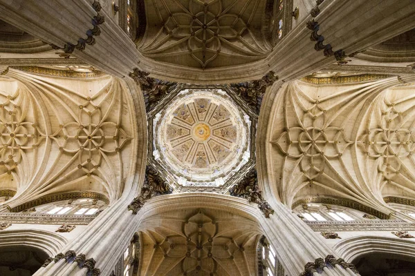 Ángulo Bajo Del Techo Catedral Nueva Salamanca España —  Fotos de Stock