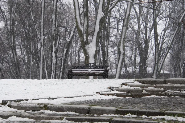 Parksteeg Winter Herastrau Park Boekarest Roemenië Sneeuwstorm Sneeuwstorm — Stockfoto