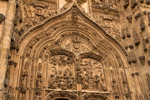 Decorative Carved Sculptures Walls New Cathedral Salamanca Spain — 스톡 사진